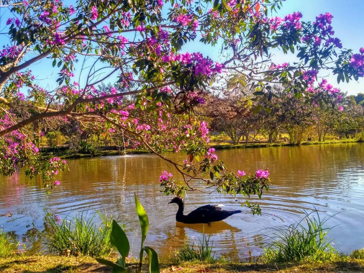 Pousada Chales Do Retiro - Serra Do Cipo Mg Jaboticatubas Bagian luar foto